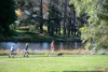 6 Acer Court, Bowral, NSW 2576-Image