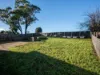 6 Adye Court, Shorewell Park, Tas 7320-Image