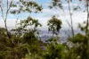 6 Aerial Road, Belair, SA 5052-Image