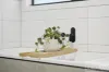 6 Affleck Court, Perth, Tas 7300-Image