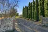 6 Albert Road, Port Fairy, Vic 3284-Image