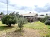 6 Alexander Avenue, Berrigan, NSW 2712-Image