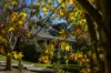 6 Alexandra Crescent, Bowral NSW 2576-Image