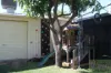 6 Alfred Street, Mount Isa, Qld 4825-Image