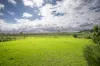 6 Alison Court, Wellington East, SA 5259-Image