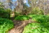 6 Allan Place, Darlington, WA 6070-Image