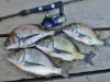 6 Anglers Drive, Gipsy Point, Vic 3891-Image