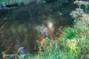 6 Arve Road, Geeveston, Tas 7116-Image