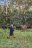 6 Arve Road, Geeveston, Tas 7116-Image