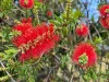 6 Ashby Court, Forest Lake, Qld 4078-Image