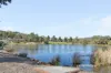 6 Augustus Drive, Jane Brook, WA 6056-Image