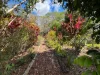 6 Avalon Close, Atherton, Qld 4883-Image