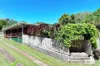 6 Barrine Road, Yungaburra, Qld 4884-Image