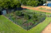 6 Baxter Street, Kirup, WA 6251-Image