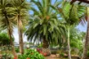 6 Beauvale Place, Huntfield Heights, SA 5163-Image