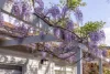 6 Belvedere Street, Kiama, NSW 2533-Image