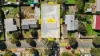 6 Berryman Road, Smithfield Plains, SA 5114-Image