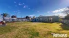 6 Bolton Street, Junee, NSW 2663-Image