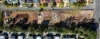 6 Bordeaux Street, Eight Mile Plains, Qld 4113-Image