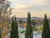 6 Bowen Place, West Wodonga, Vic 3690-Image