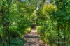 6 Bracken Road, Stirling, SA 5152-Image