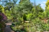 6 Bracken Road, Stirling, SA 5152-Image