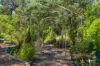 6 Bracken Road, Stirling, SA 5152-Image