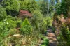 6 Bracken Road, Stirling, SA 5152-Image