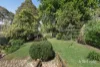 6 Brampton Court, Vermont, Vic 3133-Image