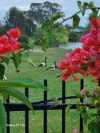 6 Bronton Way, Point Vernon, Qld 4655-Image