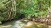 6 Brooks Road, Kuttabul, Qld 4741-Image