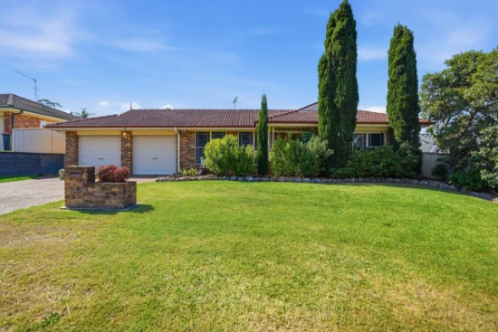 6 Budgeree Drive, Aberglasslyn, NSW 2320