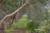 6 Cairnhill Court, Darlington, WA 6070-Image