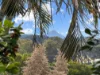 6 Caitlin Place, Bli Bli, Qld 4560-Image