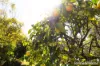 6 Callemondah Close, Narrawallee, NSW 2539-Image