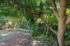 6 Canaris Street, Wanguri, NT 0810-Image
