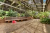 6 Candover Court, Alexandra Hills, Qld 4161-Image