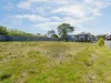 6 Cannell Place, Akaroa, Tas 7216-Image