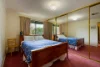 6 Carol Street, Castlemaine, Vic 3450-Image