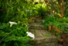 6 Carol Street, Castlemaine, Vic 3450-Image