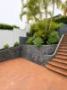 6 Carrington Street, Paddington, Qld 4064-Image