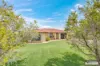 6 Cauchi Court, Avoca, Qld 4670-Image