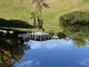 6 Cherod Drive, Orbost, Vic 3888-Image
