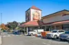6 Chiltern Place, Harrington Park, NSW 2567-Image