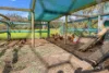 6 Corriedale Avenue, Murrumbateman, NSW 2582-Image