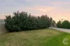 6 Derinton Way, Hamilton Hill, WA 6163-Image