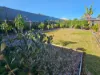 6 Dollarbird Lane, Cooranbong, NSW 2265-Image