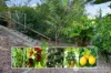6 Down Street, Boonah, Qld 4310-Image