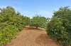 6 Draper Road, Mahogany Creek, WA 6072-Image