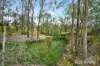 6 Druce Smith Place, Singleton, NSW 2330-Image
